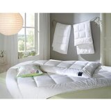 Billerbeck VZGLAVNIK Classic Clean 60/80 cm | Shoptok.si