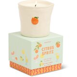 Paddywax Bistro Citrus Spritz mirisna svijeća 226 g | shoptok.hr