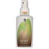 Martina Gebhardt baobab sprej za stopala - 100 ml Cijene
