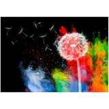  Tapeta - Colourful Element 100x70 | shoptok.hr