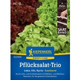 KIEPENKERL Solatni trio 'Loka, Vili, Kyrio' - semenski trak - 1 pkt. Cene