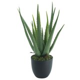 Dekordom Cvet u saksiji - aloe vera - n60 ( 025149 ) | ePonuda.com