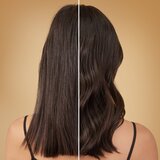 L´Oréal Paris elseve extraordinary oil coconut negovalni šampon za normalne do suhe lase 250 ml za ženske | Shoptok.si