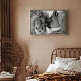  Slika - Lion\'s Love 60x40 U prirodnom drvenom okviru | shoptok.hr