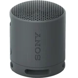 bluetooth zvučnik SRSXB100H.CE7