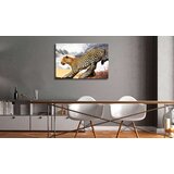  Slika - Predatory Stare 120x80 | shoptok.hr