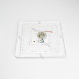  Brilagi - LED prigušiva plafonska svetiljka OPAL LED/24W/230V 3000/4000/6500K+daljinski upravljač | Eponuda.com
