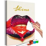  Slika za samostalno slikanje - Shiny Lips 40x60 Cijene