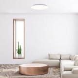  Stropna rasvjeta - Rorik | shoptok.hr