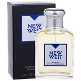 Aramis New West 100 ml toaletna voda za moške Cene