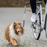 Trixie Biker-Set de Luxe - Držalo za kolo | shoptok.hr