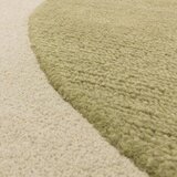 Asiatic Carpets Zeleni ručno rađen vuneni tepih 120x170 cm Canvas – | shoptok.hr
