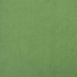  Stolica za opuštanje svjetlozelena baršunasta | shoptok.hr