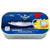 Sardine