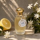 Annick Goutal Un Matin D'Orage Toaletna voda za ženske 100 ml | Shoptok.si