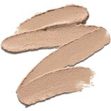 Payot Pâte Grise Stylo Duo Purifiant Correcteur korektor za prekrivanje i redukciju nepravilnosti 2x3 ml | shoptok.hr