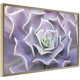  Poster - Like a Flower 90x60 | shoptok.hr