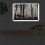 Wallity Zidna slika sa LED osvetljenjem 4570DHDACT-080, 45x70 cm | Eponuda.ba
