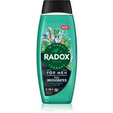 RADOX Feel Invigorated gel za tuširanje za muškarce 2 u 1 450 ml | shoptok.hr