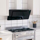 vidaXL kuhinjska napa 90 cm nerjaveče jeklo in kaljeno steklo črna Cene