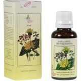 INSTITUT DR JOSIF PANČIĆ Dr.Josif Pancic Kapi za apetit, 30 ml Cene