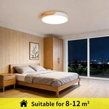 KAMBO LED stropna svetilka 30cm | Shoptok.si