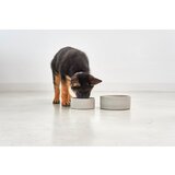 MiaCara Porculanska zdjela za hranu za ljubimce za pse ø 20 cm Scodella Greige M/L – | shoptok.hr