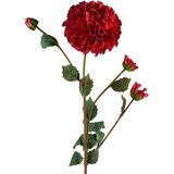 Mondex umetna roža plastika Viridis Dalia 77cm večbarvna 1kos, (5000305449) Cene