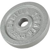 Gorilla Sports Teg od livenog gvožđa (2,5 kg / Srebrni) ( 100538-00002-0007 ) | ePonuda.com
