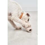 MiaCara Igračka za psa Cono Slate – | shoptok.hr