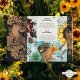 Magic Garden Seeds Wild Blossom Rush - komplet za bio razmnoževanje semen