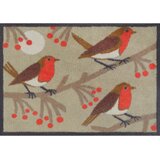 wash+dry PREDPRAŽNIK Red Robins 60/85 cm potiskano večbarvno | Shoptok.si