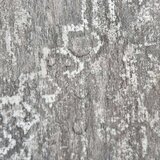 vidaXL Samoljepljive podne obloge 20 kom PVC 1,86 m² siva boja betona | shoptok.hr