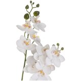 Casa Selección Umetna rastlina (višina 39 cm) Orchid – | Shoptok.si