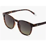 Suncane naocare Dalston/Glossy Tortoise