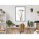  Poster - Diary of a Herbalist 20x30 | shoptok.hr
