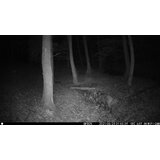 OXE Lovska kamera WiFi Hunter RD3019 in kovinska škatla + 32GB SD kartica, 8 baterij in stojalo! | Shoptok.si