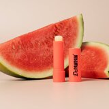 Dr.PAWPAW Flavoured Balm vlažilni balzam za ustnice okus Vodní meloun 4 g | Shoptok.si