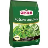 Substral zemlja za zelene biljke i palme (3 l) cijene