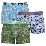 Gianvaglia 3PACK men's boxers multicolor (GVG-5501)