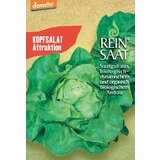 ReinSaat Glavnata solata "Attraktion" Cene