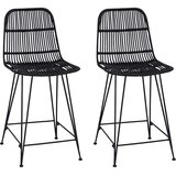 Barska stolica 2 pcs Crna 44 x 54 x 96 cm Ratan i Čelik | shoptok.hr