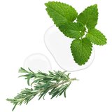 Kallos kristali za kosu 50ml rosemary&mint | Eponuda.com