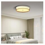 Bblink led plafonjera 18W promenljiva boja svetla | Eponuda.com
