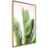  Poster - Rustling of Leaves 40x60 Cijene