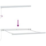 vidaXL Tenda na ručno uvlačenje smeđa 300 x 250 cm | shoptok.hr