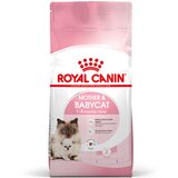 Royal Canin Mother & Babycat - 4 kg Cijene