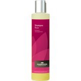 Cosmoveda šampon rose Cene