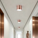  Immax NEO 07319L - LED prigušiva RONDATE plafonsko svetlo 18W/230V 11,5 cm Wi-Fi Tuya ružičasta | Eponuda.com