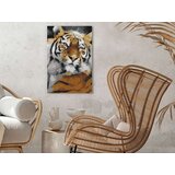  Slika za samostalno slikanje - Friendly Tiger 40x60 | shoptok.hr